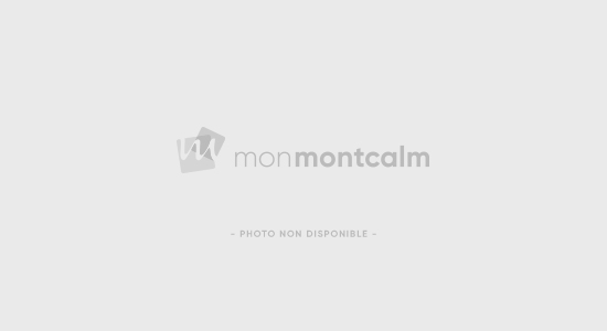 AVIS DE CLÔTURE D’INVENTAIRE – Louise Bouchard - Monmontcalm