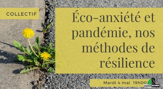 Collectif: Éco-anxiété et pandémie, nos méthodes de résilience
