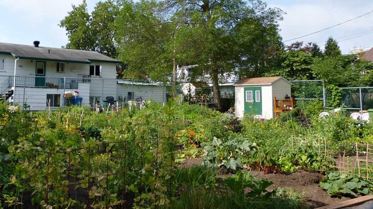 Quel nom pour le futur jardin communautaire ? | 22 février 2018 | Article par Céline Fabriès