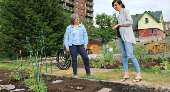 La Cité Verte se dote d’un jardin communautaire - Véronique Demers