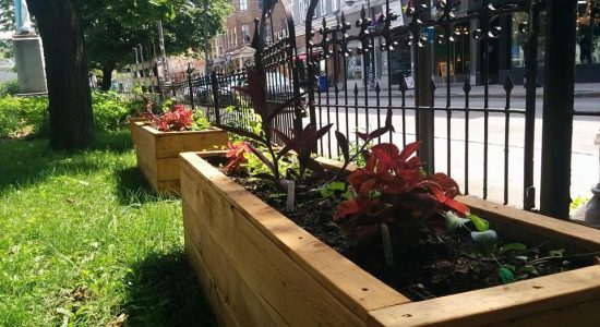 Jardins partagés : la Ville lance un nouvel appel de projets - Suzie Genest