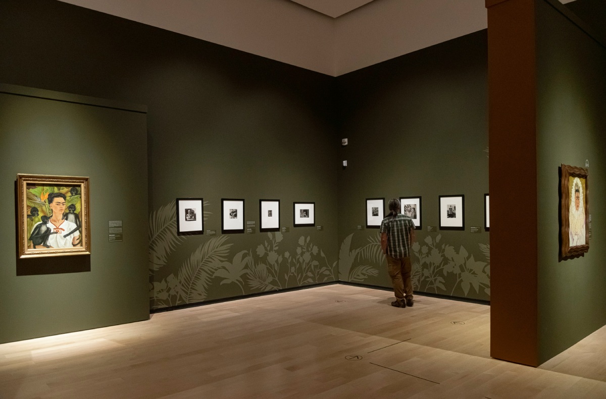 Vue d'une salle d'exposition du MNBAQ, un visiteur regarde des tableaux.